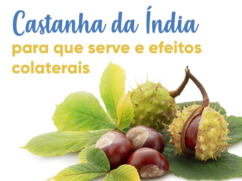 Castanha da ndia: para que serve e efeitos colaterais